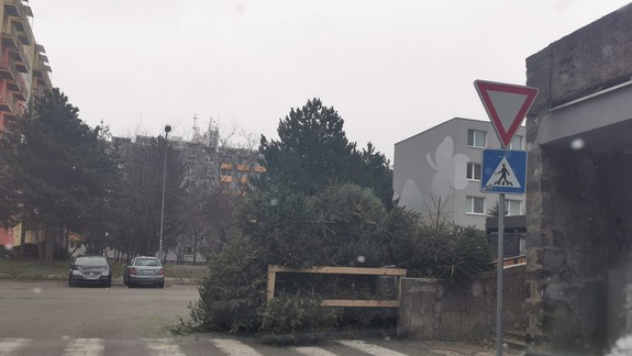 Niektoré ohrádky sú už preplnené - kedy začne OLO vyhodené stromčeky odvážať?