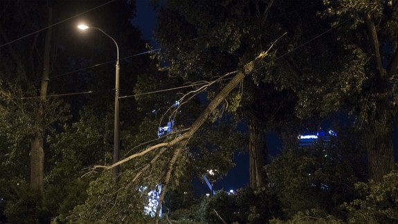Blíži sa šialený vietor, po polnoci na Bratislavu udrie orkán Fabienne, škody môžu byť veľké!
