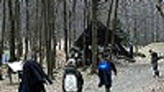 V Bratislavskom lesoparku bola jarná prechádzka