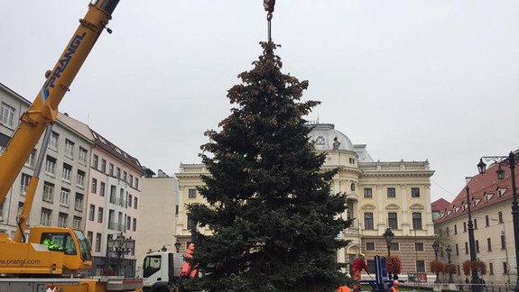 Už máme vianočný stromček aj na Hviezdoslavovom námestí - v piatok sa tu začnú trhy!