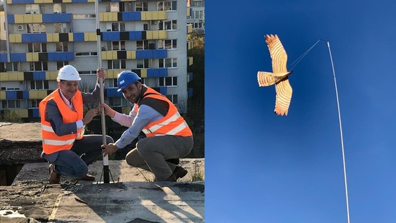 FOTO: Na skelete Hirošimy sú špeciálne plašiče proti premnoženým holubom