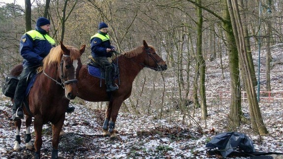 Mestskí policajti na koňoch: Zasahovali na Železnej studienke