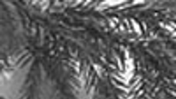 Vianoce boli aj niekoľko dní bez hriechu