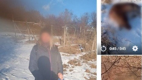 Vlčiak napadol vo vinohradoch v Pezinku samicu daniela, tá po jeho útoku zomrela!