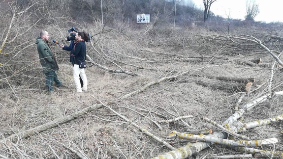 Vodohospodári obhajujú rozsiahle výruby stromov. Toto sú ich argumenty