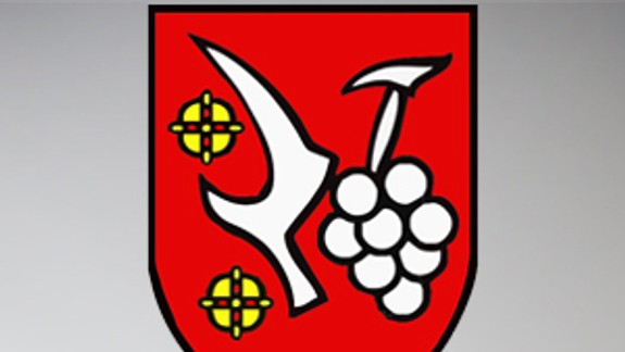 Vajnorčania rozhodnú, na čo pôjde 7 000 eur