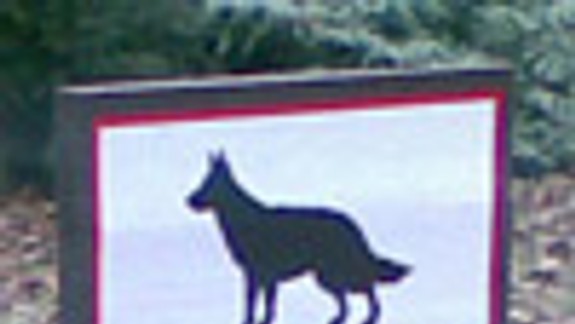 Staromestská samospráva dala psom nové výbehy