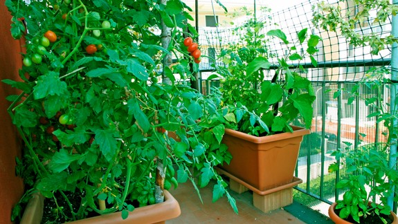 Záhrady, predzáhradky aj balkóny sa začínajú prebúdzať