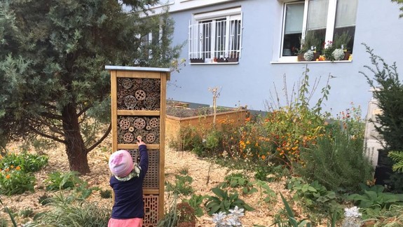 Ružinov vytvorí prvé lúčne plochy, snahou je zachovať biodiverzitu