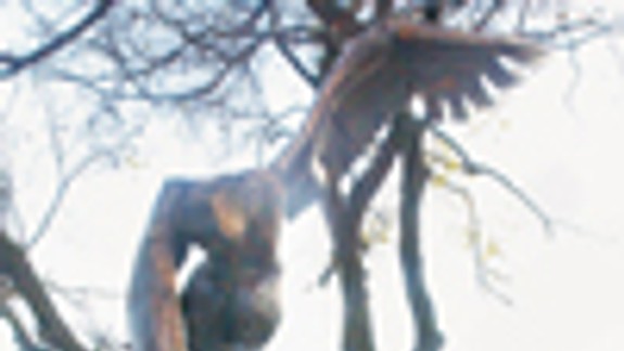 Bratislava na obete neonacizmu nezabúda