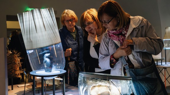 Nová výstava Životopisy ľudí a vecí v MMB odkrýva príbehy predmetov, ktoré prepojili svet s Bratislavou