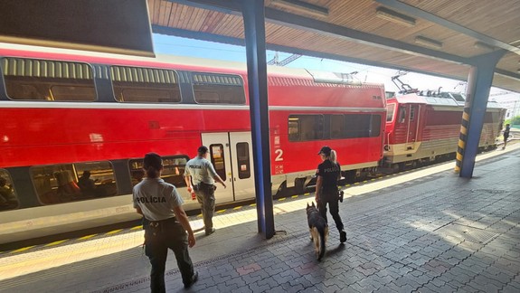 Polícia v Bratislavskom kraji skontrolovala počas akcie 29 vlakov aj 38 ľudí