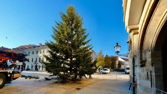 FOTO: Na Hlavnom námestí už osadili vianočný stromček, vyrástol v Ružinove