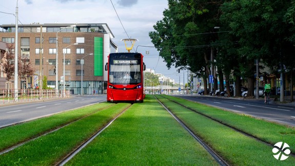 Klimatizácia, tónované sklá, farebné displeje: Dopravný podnik nakúpi ďalších desať nových električiek