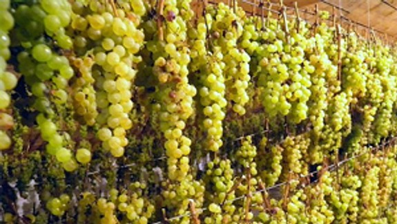 Samospráva podporila račianskych vinárov a vinohradníkov