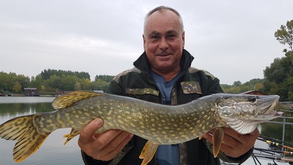 VIDEO: Bratislavskí rybári už majú vianočnú rybu doma. Aká je najlepšia a na čo nesmieme zabúdať?