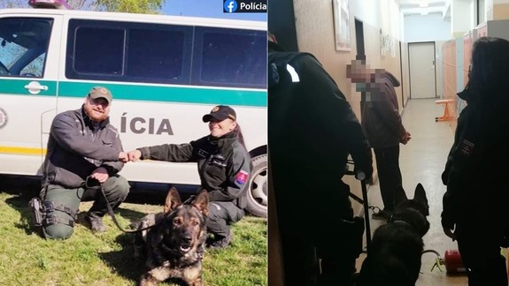 FOTO: Muža, ktorý sa v noci vlámal do školy na Hrobákovej našiel policajný pes - skrýval sa na WC!