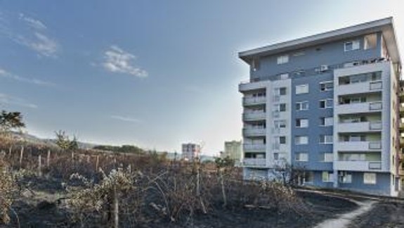 Požiar vo vinici pravdepodobne spôsobili úmyselne