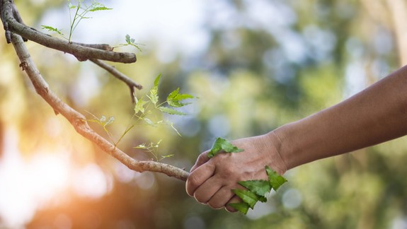 Lieči, no môže vás aj prekvapiť. Ako si vychutnať bezpečný pobyt v prírode?