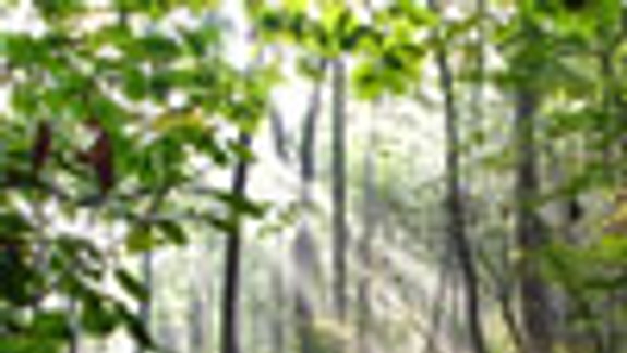 V Horskom parku bude výstava o budúcnosti mesta