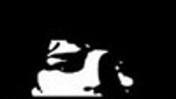 Nostalgia pokračuje v bývalom kine Nivy