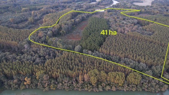 Zbierajú peniaze: BROZ chce odkúpiť a ochrániť 41-hektárové územie v Dunajských luhoch