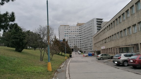 Čierny kašeľ sa šíri,V Bratislavskom kraji sa počas tohto roka vyskytol  v 50 prípadoch