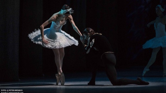Balet SND otvorí rok 2020 Čajkovského Labutím jazerom