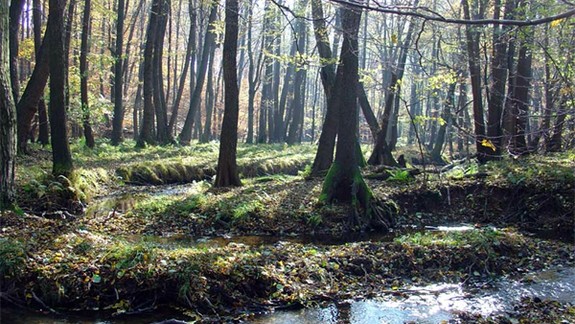 VIDEO: Do záchrany povodia Vydrice sa zaangažovali aj populárni slovenskí herci a herečky - čo chcú dosiahnuť?