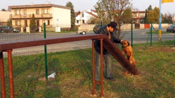 V Ružinove otvorili druhý výbeh pre psy