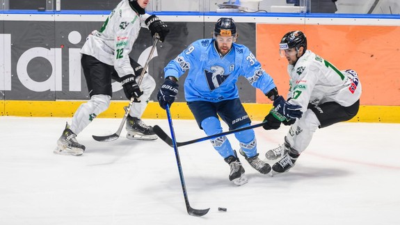 Hokej: V Slovane sa tešia, Pecararo predĺžil zmluvu o ďalší rok