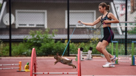 Pretekov králičí hop sa zúčastnilo 65 králikov - súťažili v parkúre, behu a skokoch