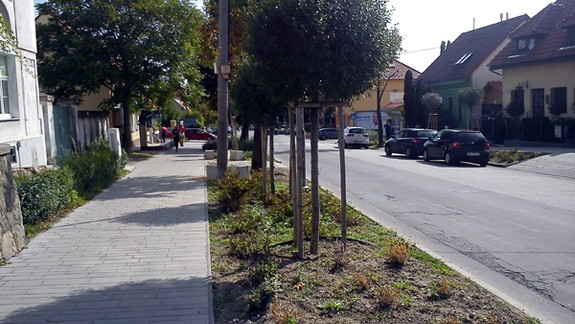 Na Detvianskej sme zanedbanú zeleň nenašli