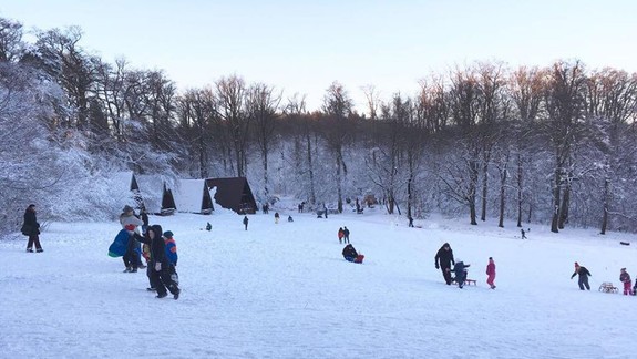 FOTO: V meste už veľa stôp po snehu nezostalo, ale na Kolibe je hotové biele kráľovstvo!