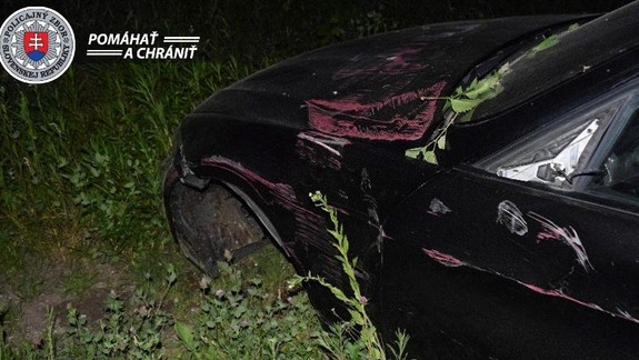 Mladá vodička Lucia narazila do všetkého, čo jej stálo v ceste a nafúkala 1,65 promile