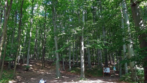 Nové Mesto začína s vyhlásením stavebnej uzávery Horná Mlynská dolina 