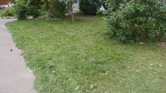 Trápi vás napríklad neporiadok či neupravená zeleň? Rýchla rota by to mala vyriešiť do troch dní