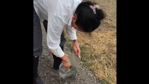 Kandidátka na županku Krajčovičová poukazuje na podozrivý materiál vo Vrakuni