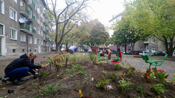 FOTO: Ľudia odstránili z dvora starú dlažbu a urobili si tam parčík aj posilňovňu