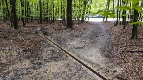 Viete, na čo slúžia nové odrážky v mestských lesoch?