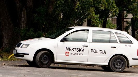 Mestskí policajti spolu so štátnymi kontrolovali parky a dvoch mužov zadržali pre podozrenie z drogovej činnosti