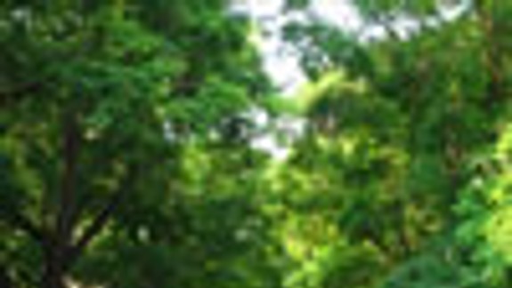 Vnútroblok na Blumentálskej bude stáť 175-tisíc eur