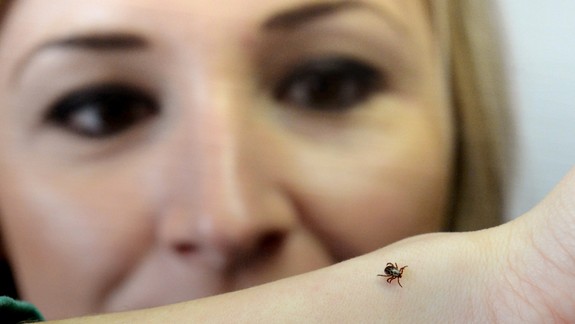 RADÍME: Liečba nákazy kliešťom môže trvať mesiace, nepodceňujte prevenciu