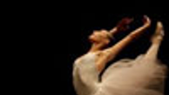 Opera National de Paris v Divadle Aréna