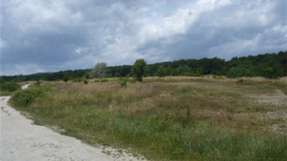 Lúku na Kráľovej hore si mesto od investora prenajme