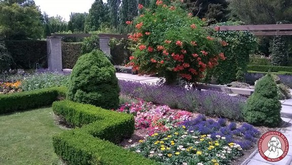 Horúčavy v botanickej záhrade vyhovujú oleandrom