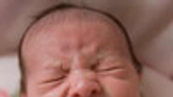 Prvou Bratislavčankou 2011 dcéra tenistu Hrbatého