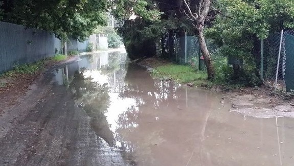 V záhradkárskej oblasti našli zastreleného staršieho muža