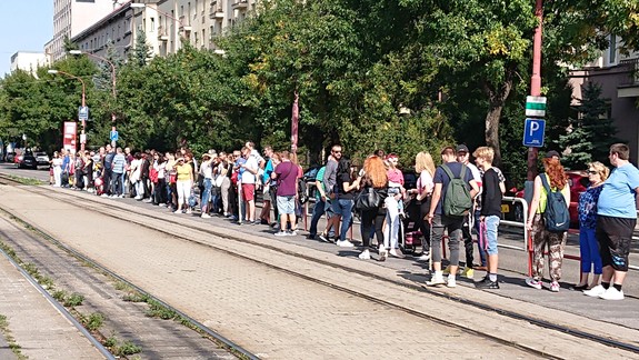 Nespokojný pán Dušan: Takto som cestoval električkou na vinobranie do Rače