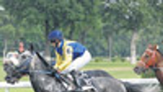 V nedeľu aj dostih o Cenu Bratislavských novín